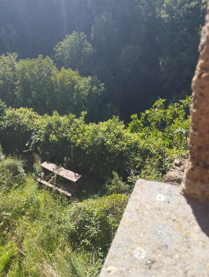 Apartament Antica Dimora Barbarano Romano Zewnętrze zdjęcie